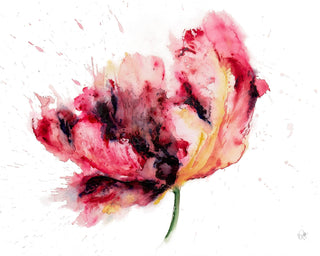 Red Parrot Tulip Watercolor Card – Artistic Floral Spring : Single Card - Lacuisinebozeman