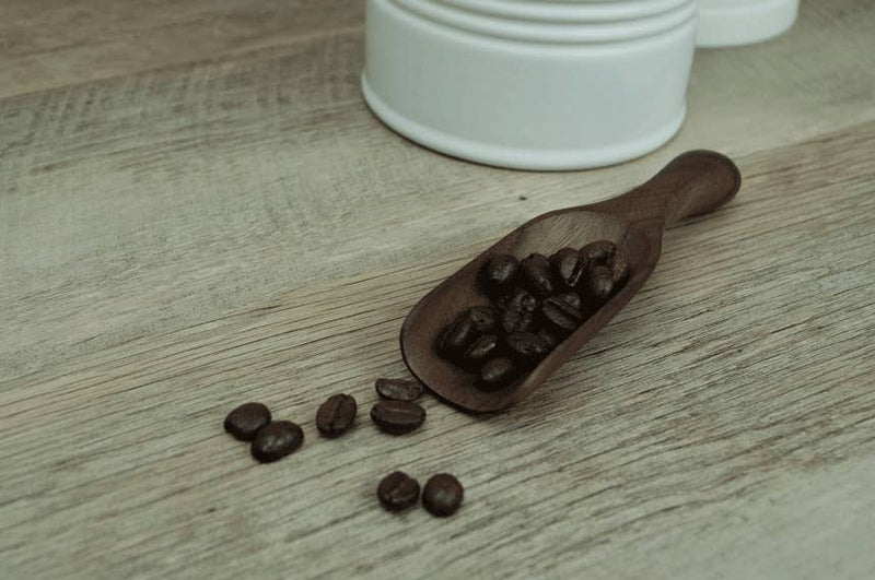 5" Small Walnut Wood Scoop - Lacuisinebozeman