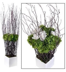 Birch Floral - Lacuisinebozeman